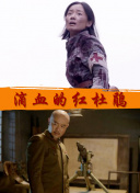 武道之巅装备解析：从新手到高手的变身